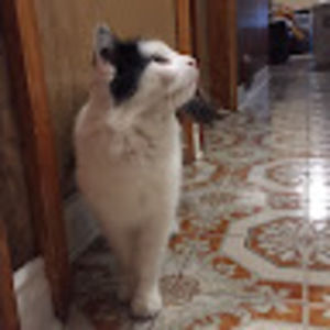 Meet your Posher, Paola